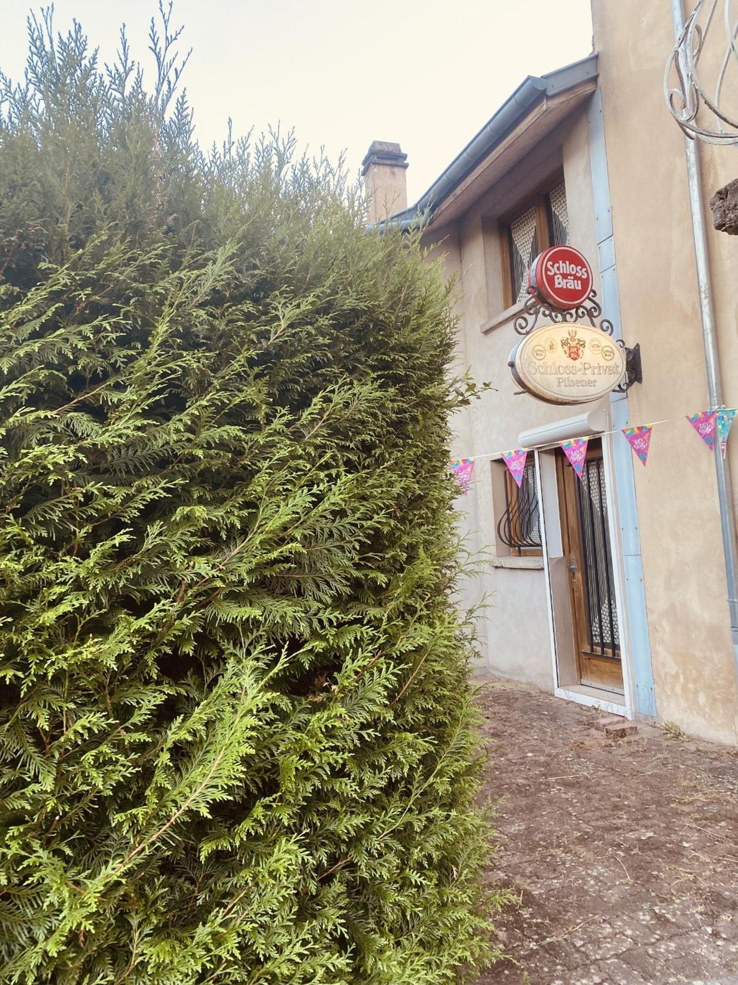 L'Industrie de Marie - Comme à la Guinguette ! Hombourg-Haut Exterior foto